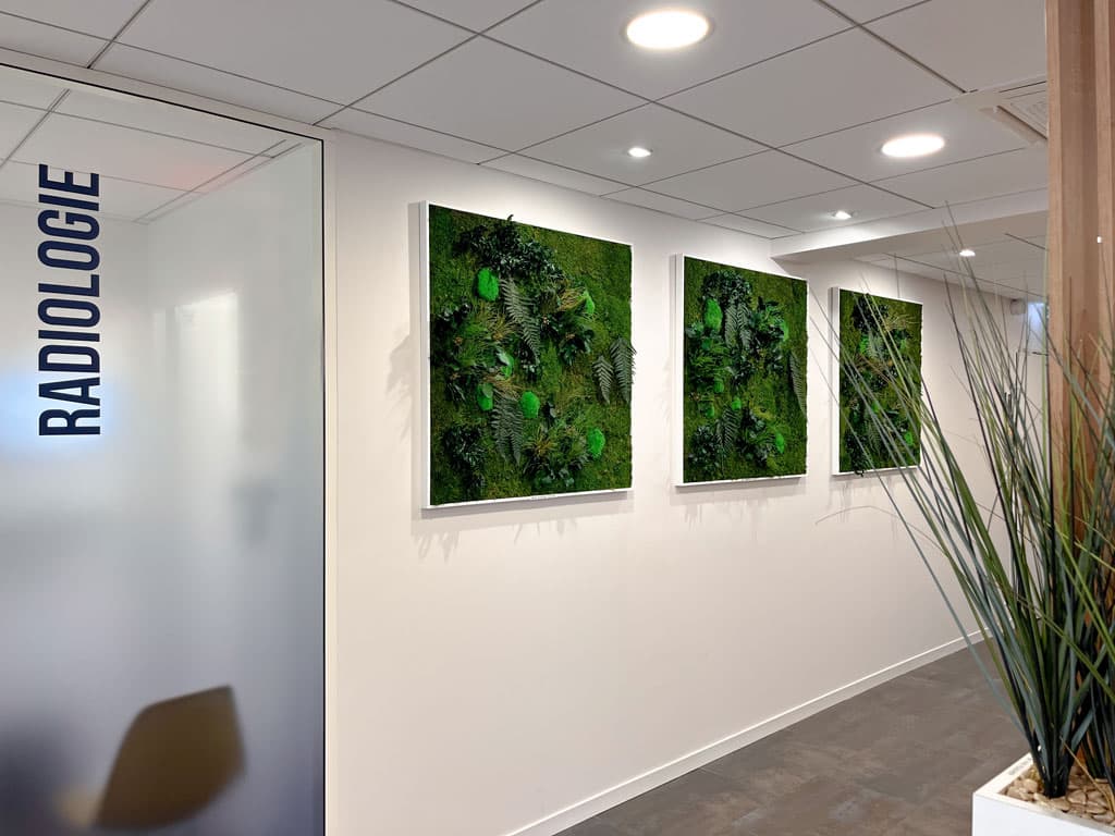 Couloir de la salle de radiologie avec tableaux vegetaux
